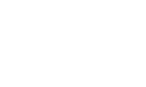 Logo animé représentant les lettres SCED entrelacées qui se séparent puis forment les mots Sylvain Chauvet Etude Développement